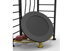 Super Duty Medicine Ball Rebounder with Stall Bars.
